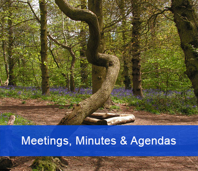 Meetings, Minutes and Agendas